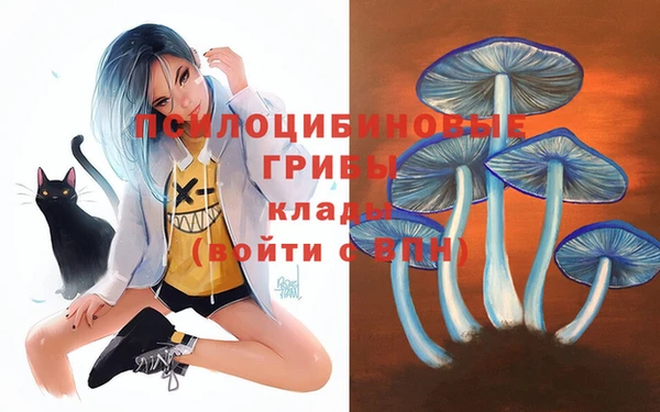 амф Алексеевка