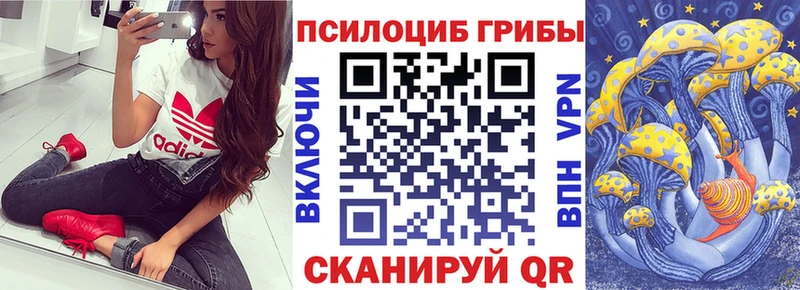 Псилоцибиновые грибы GOLDEN TEACHER  Пойковский 